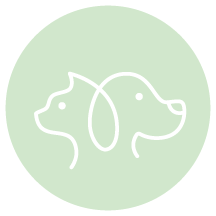 Love N Light Furever